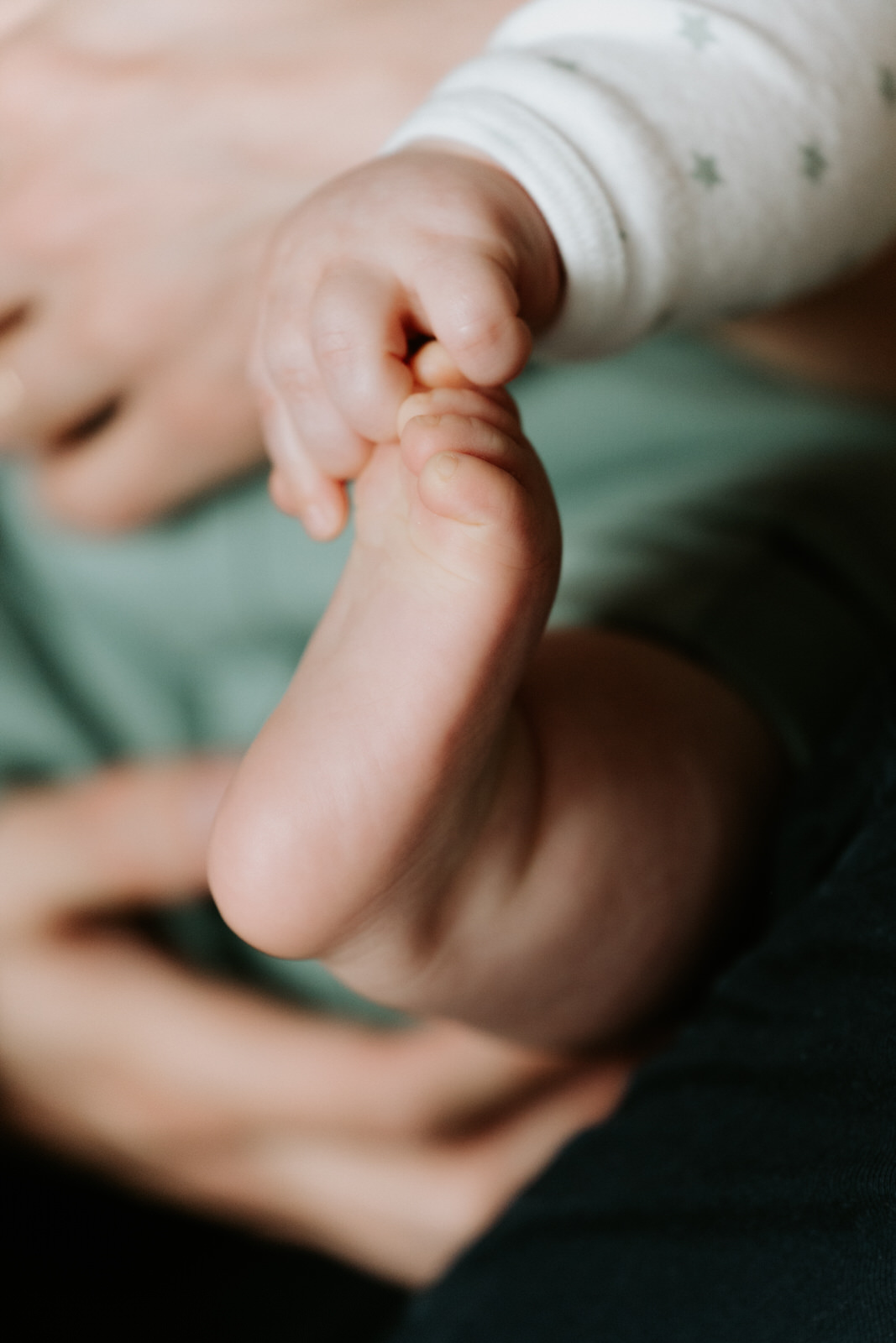 photographe bébé famille voiron